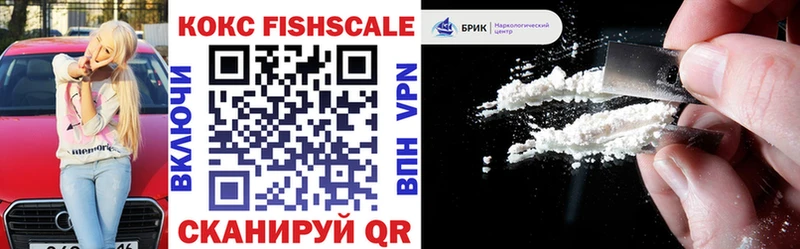 Cocaine Fish Scale  Купить закладки  Волосово 
