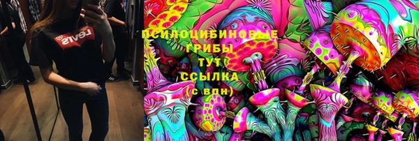 спиды Алексеевка