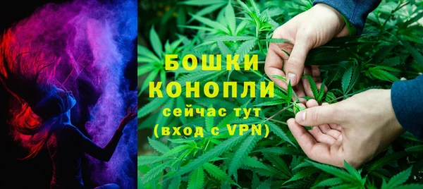 PSILOCYBIN Алексин