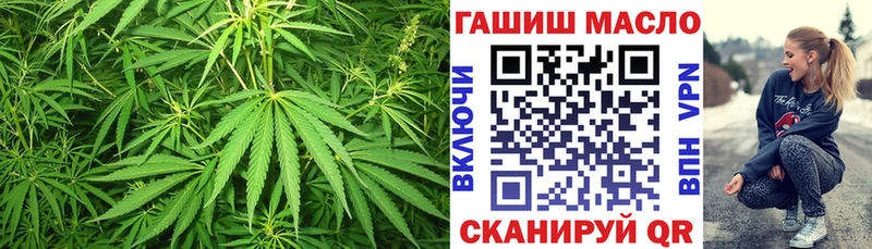 Купить закладки  Волосово  Дистиллят ТГК вейп с тгк 