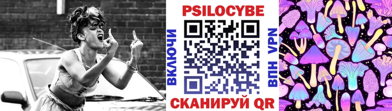Купить Волосово Галлюциногенные грибы прущие грибы