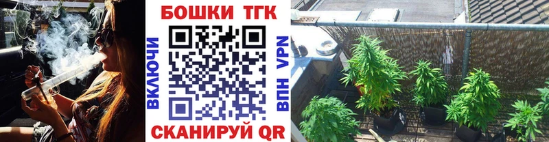 Шишки марихуана конопля  Купить  Волосово 